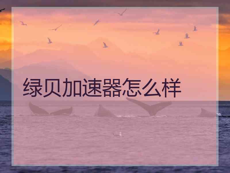 绿贝加速器怎么样