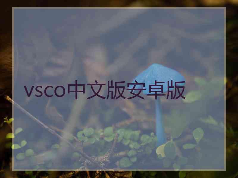 vsco中文版安卓版