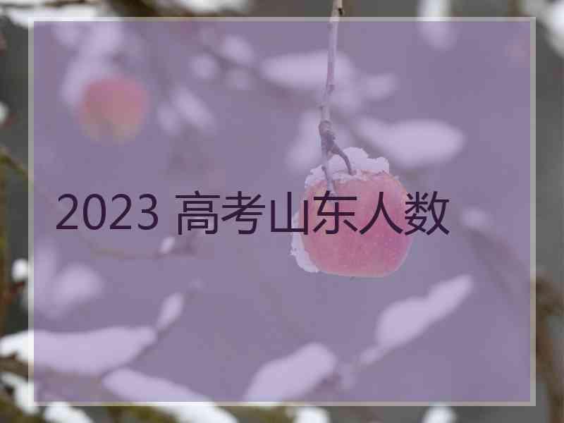 2023 高考山东人数