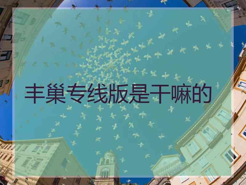 丰巢专线版是干嘛的
