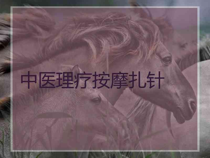 中医理疗按摩扎针