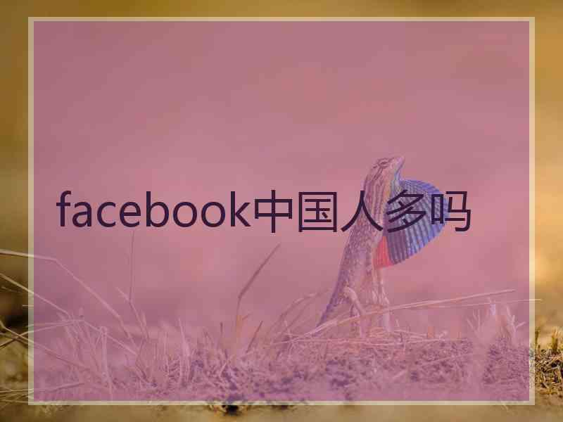facebook中国人多吗