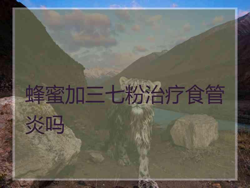 蜂蜜加三七粉治疗食管炎吗