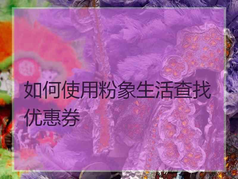 如何使用粉象生活查找优惠券