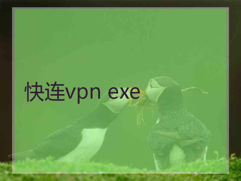 快连vpn exe
