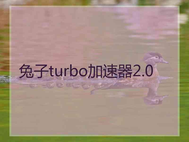 兔子turbo加速器2.0