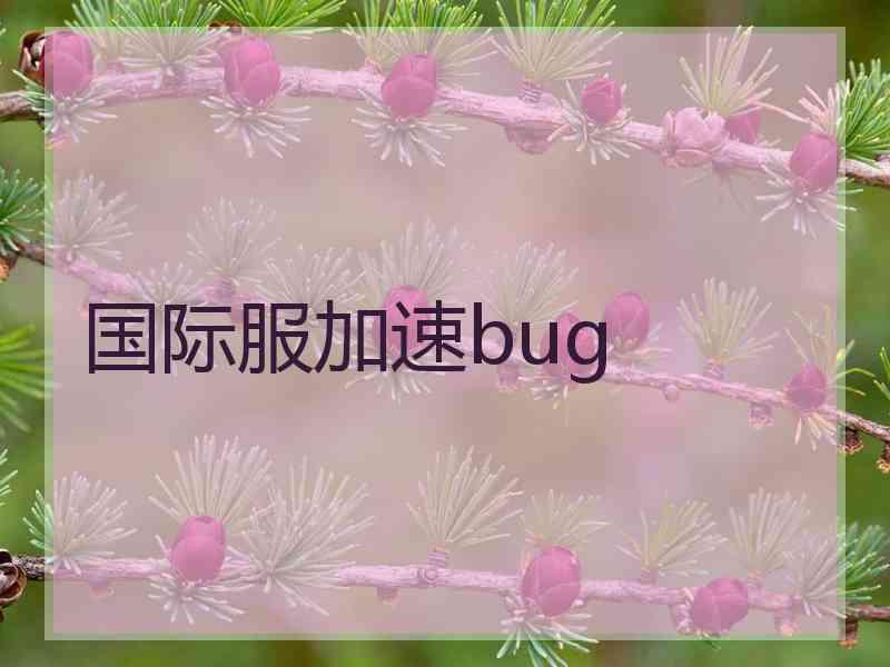 国际服加速bug