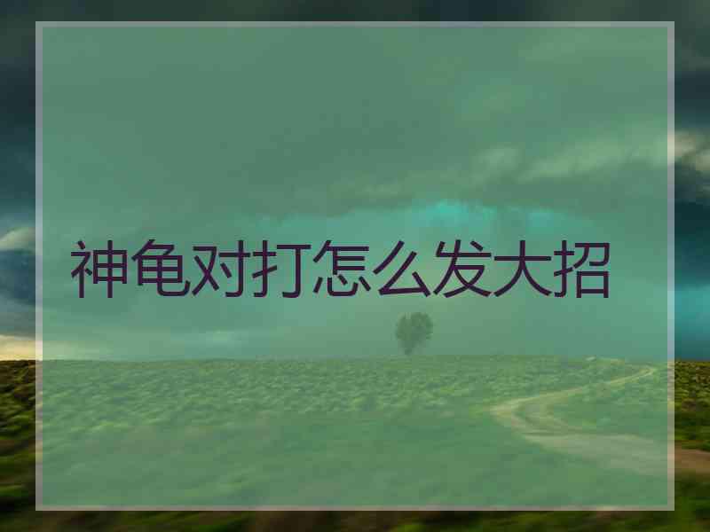 神龟对打怎么发大招
