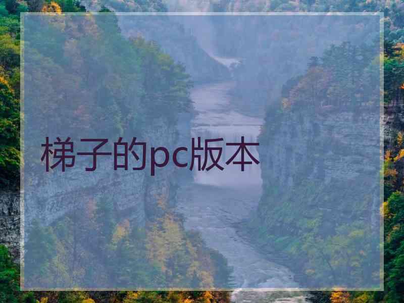梯子的pc版本