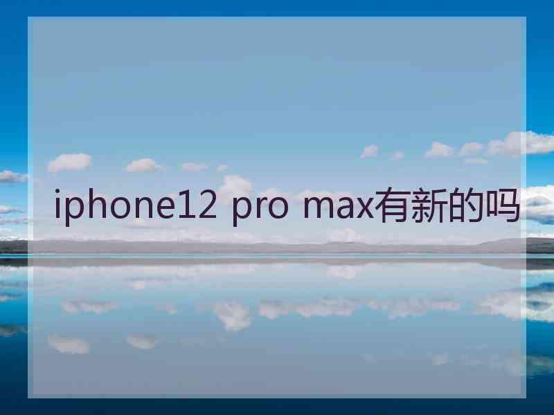 iphone12 pro max有新的吗
