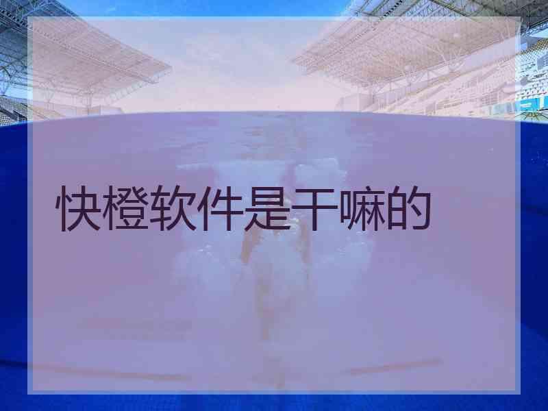 快橙软件是干嘛的