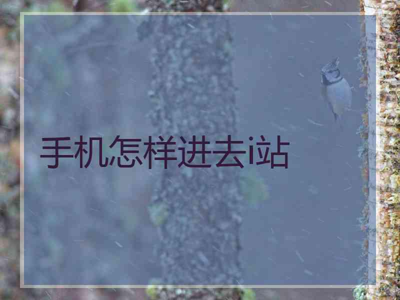手机怎样进去i站