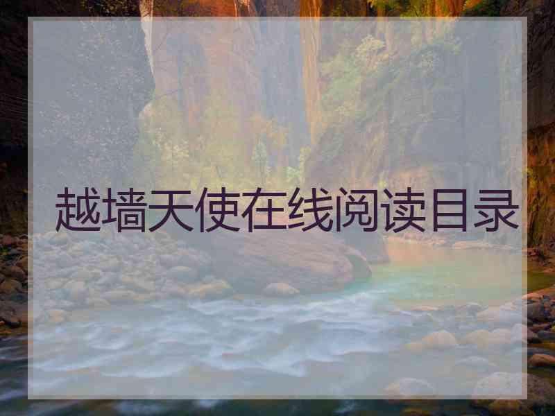 越墙天使在线阅读目录