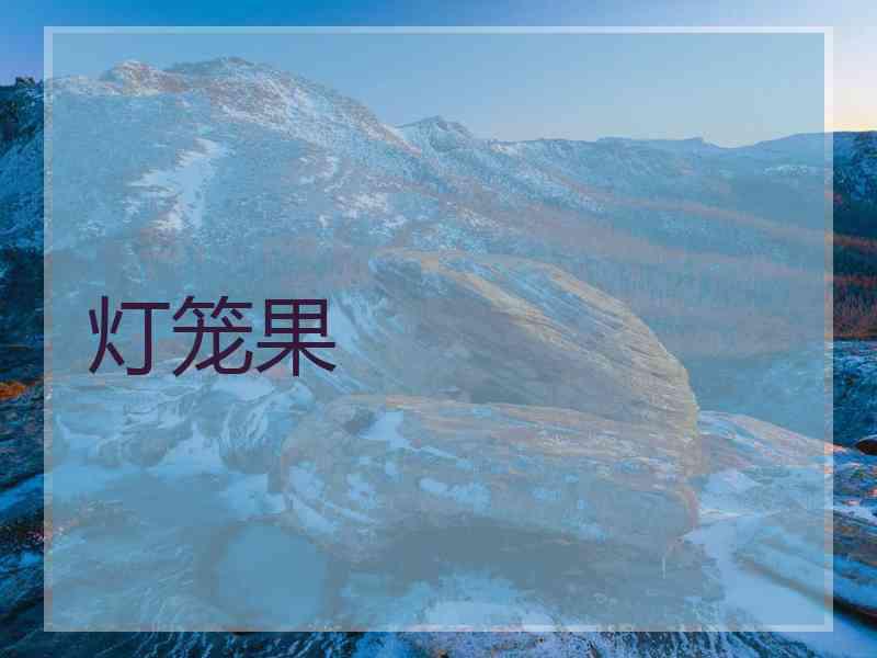 灯笼果