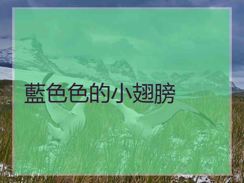 藍色色的小翅膀
