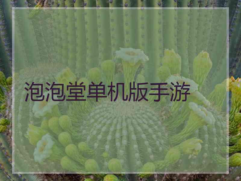 泡泡堂单机版手游