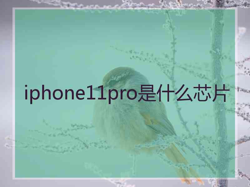iphone11pro是什么芯片