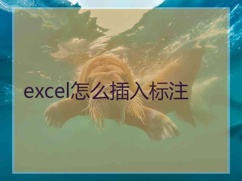 excel怎么插入标注