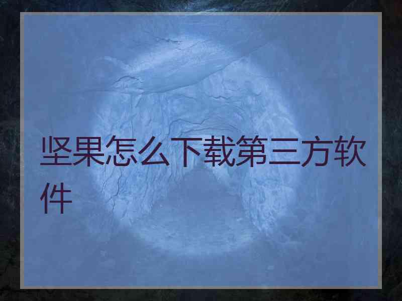 坚果怎么下载第三方软件