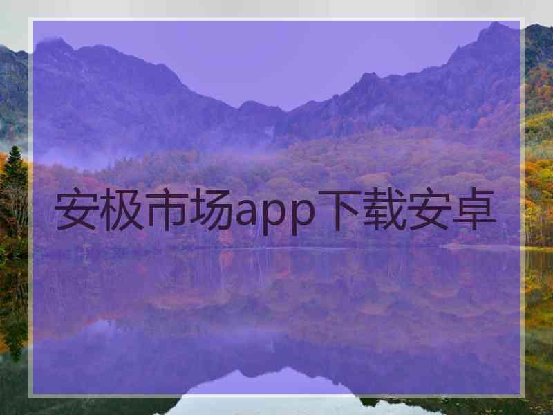 安极市场app下载安卓