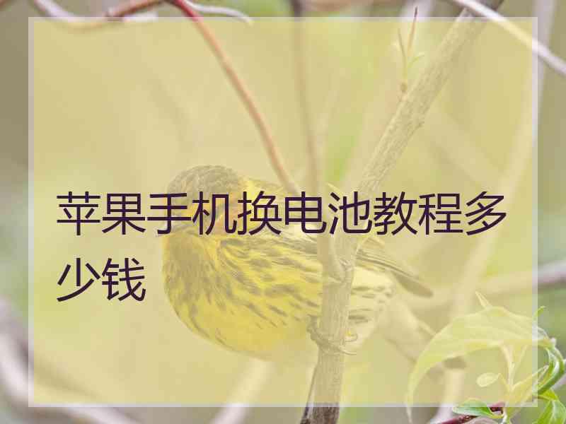 苹果手机换电池教程多少钱