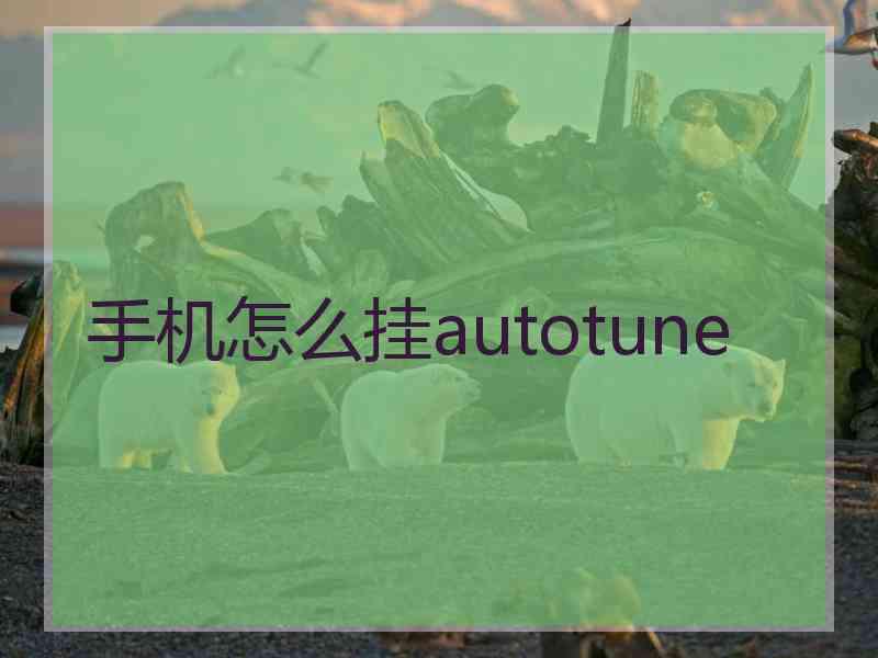 手机怎么挂autotune
