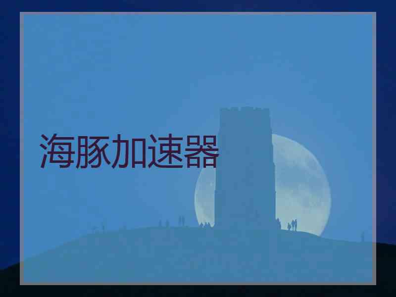 海豚加速器