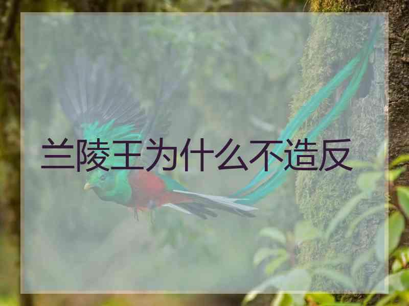 兰陵王为什么不造反