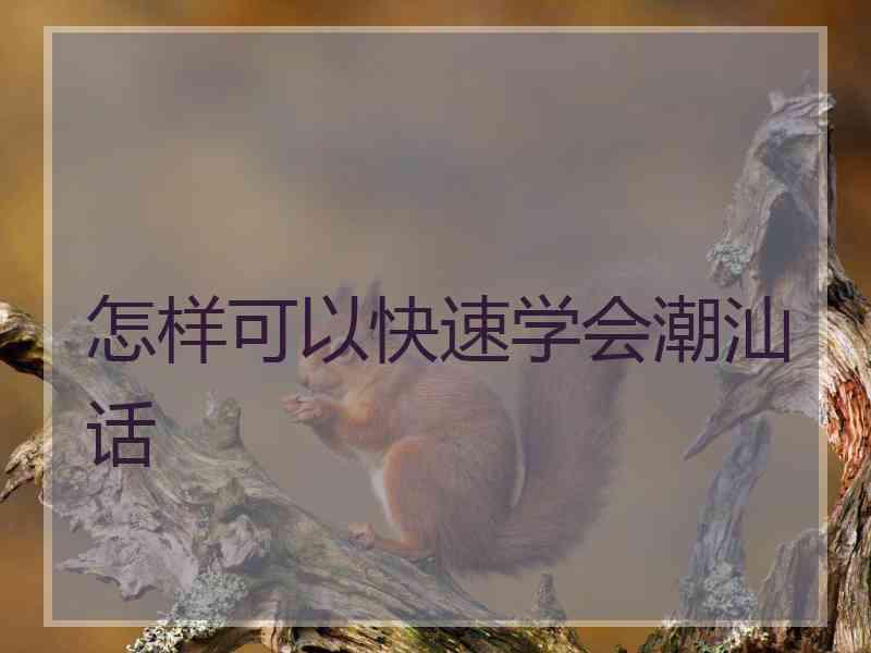 怎样可以快速学会潮汕话