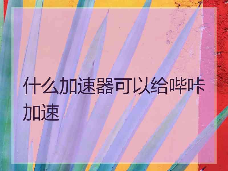 什么加速器可以给哔咔加速