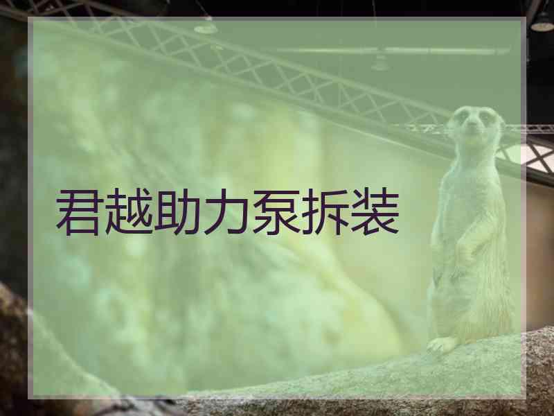 君越助力泵拆装