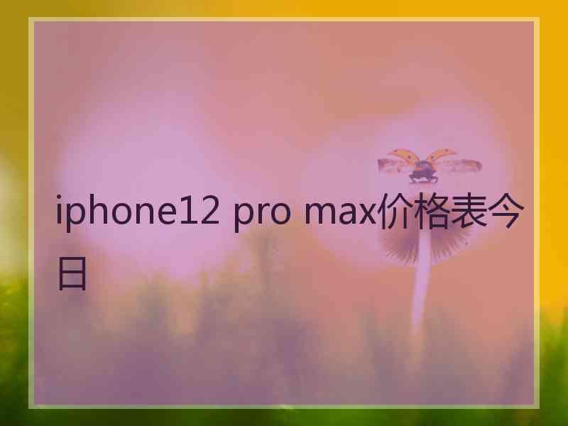 iphone12 pro max价格表今日