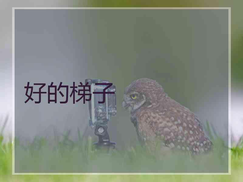 好的梯子