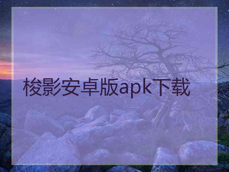 梭影安卓版apk下载