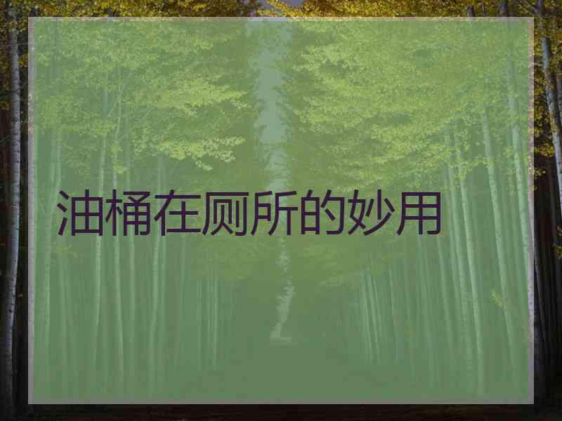 油桶在厕所的妙用