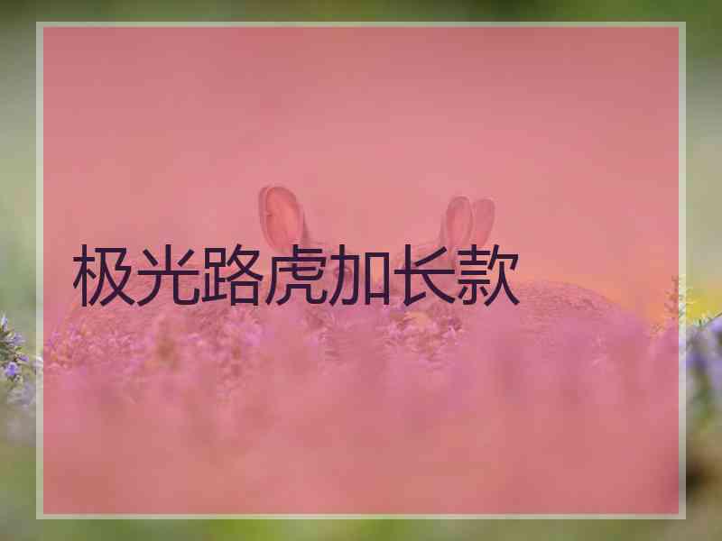 极光路虎加长款