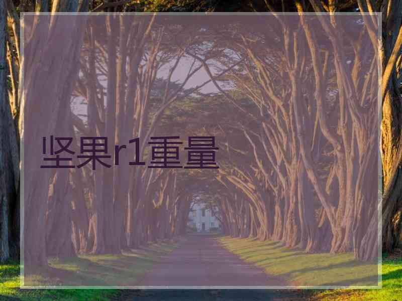 坚果r1重量