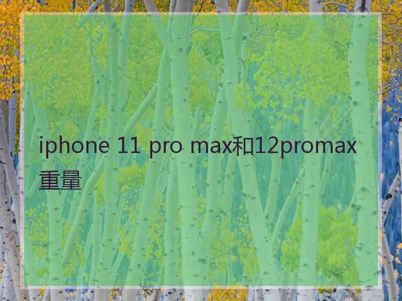 iphone 11 pro max和12promax重量