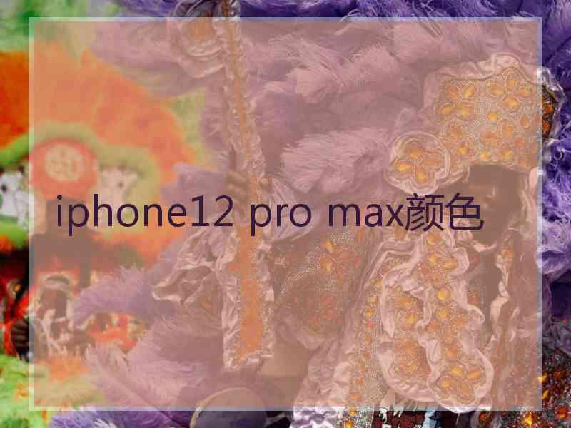 iphone12 pro max颜色