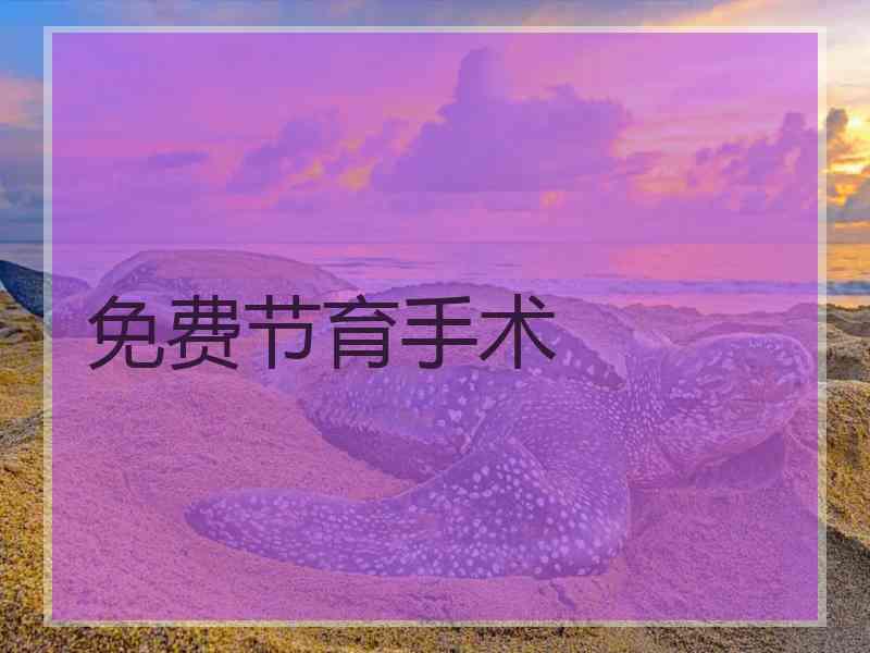 免费节育手术