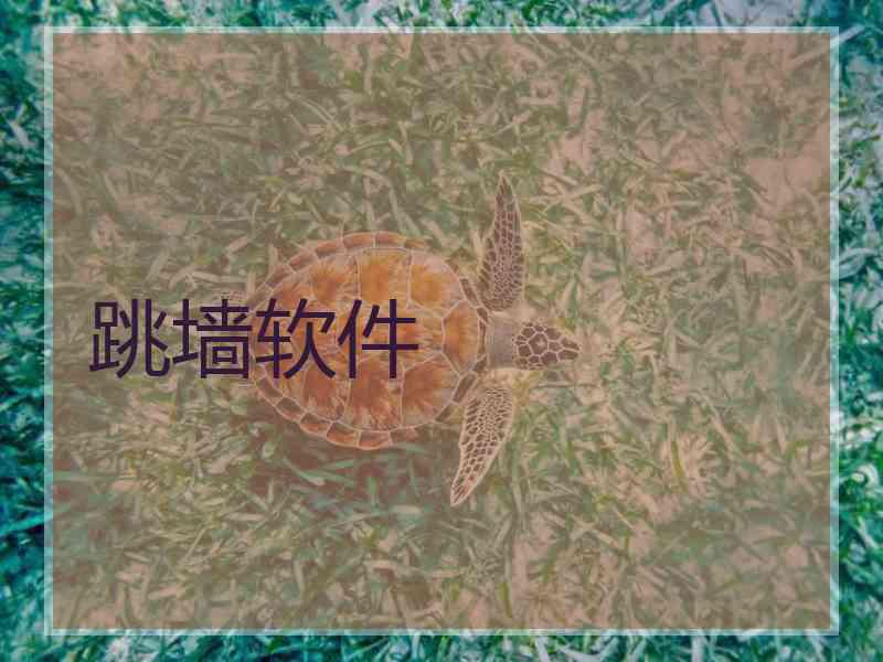 跳墙软件