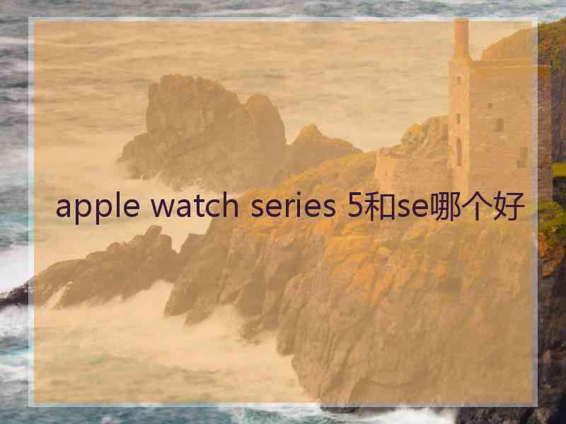 apple watch series 5和se哪个好