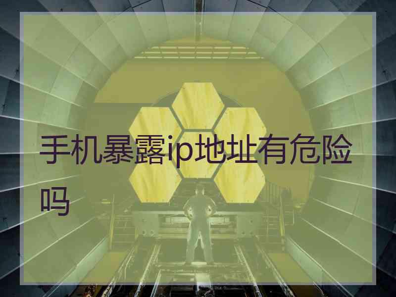 手机暴露ip地址有危险吗
