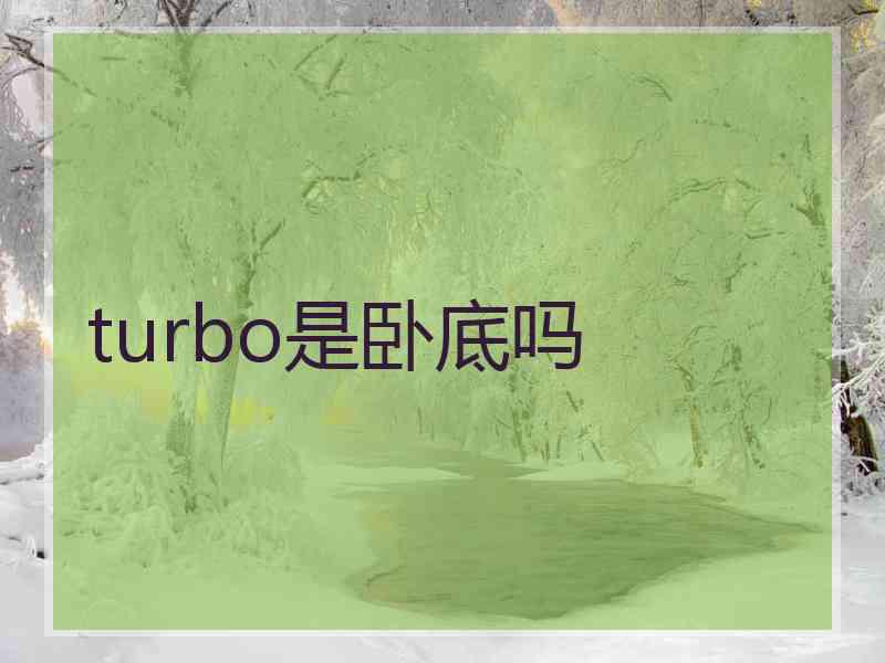 turbo是卧底吗
