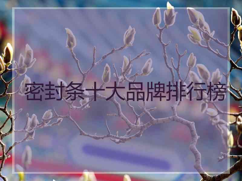 密封条十大品牌排行榜