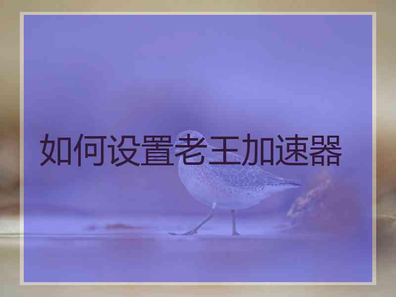 如何设置老王加速器