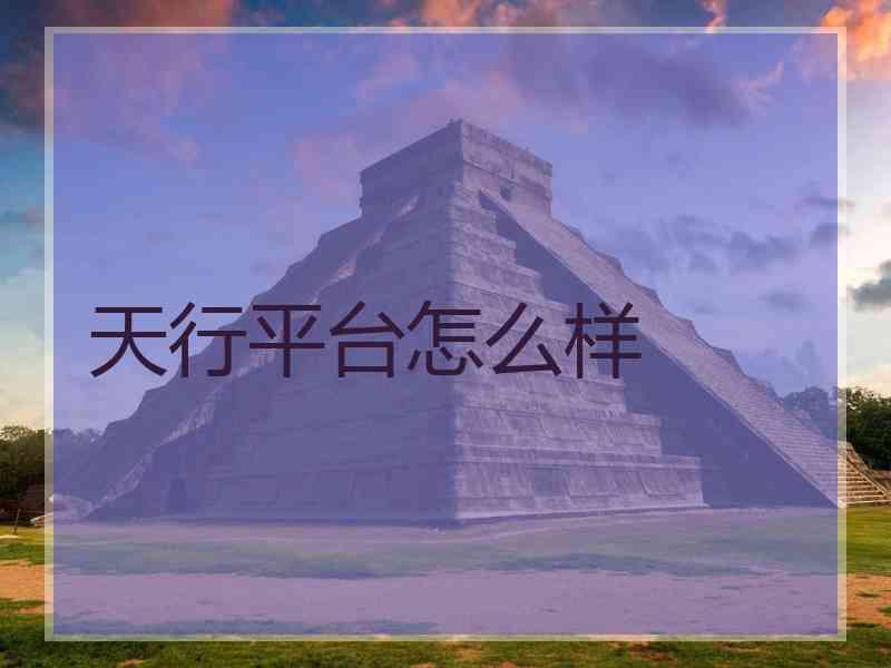 天行平台怎么样
