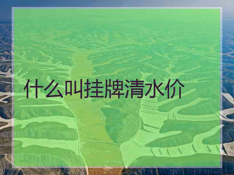 什么叫挂牌清水价