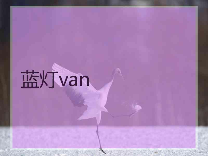 蓝灯van