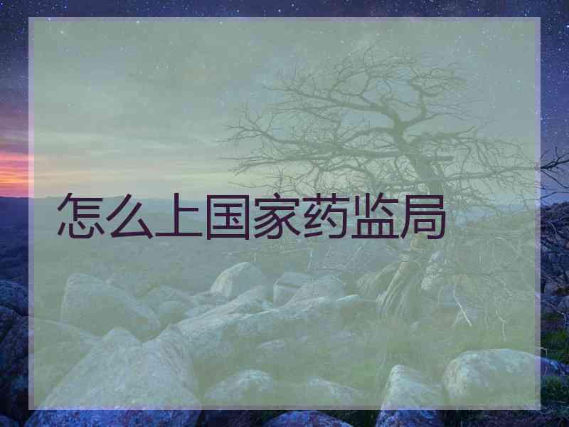 怎么上国家药监局